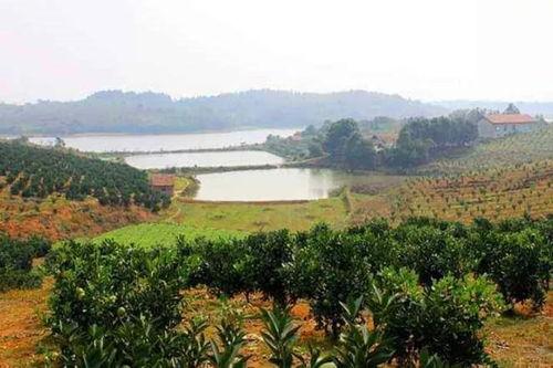 农场西南农庄爆料视频,农场爆料视频带你探秘田园生活  第2张