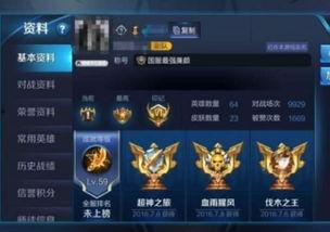 挂件皮肤爆料怎么做的视频,轻松打造吸睛内容 第1张 挂件皮肤爆料怎么做的视频,轻松打造吸睛内容 第1张