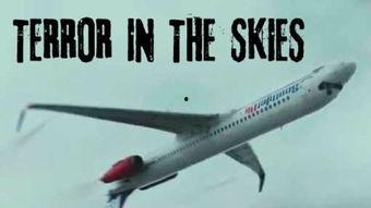 空中危机在线观看,紧张刺激的空中救援大作战  第3张