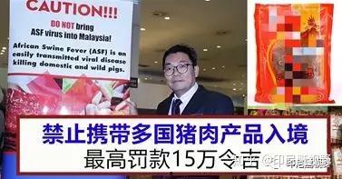 印尼猪瘟最新爆料图册,揭秘爆发原因与防控措施 第1张 印尼猪瘟最新爆料图册,揭秘爆发原因与防控措施 第1张