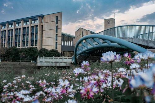 福州大学女子爆料视频,校园生活背后真相揭露 第1张 福州大学女子爆料视频,校园生活背后真相揭露 第1张